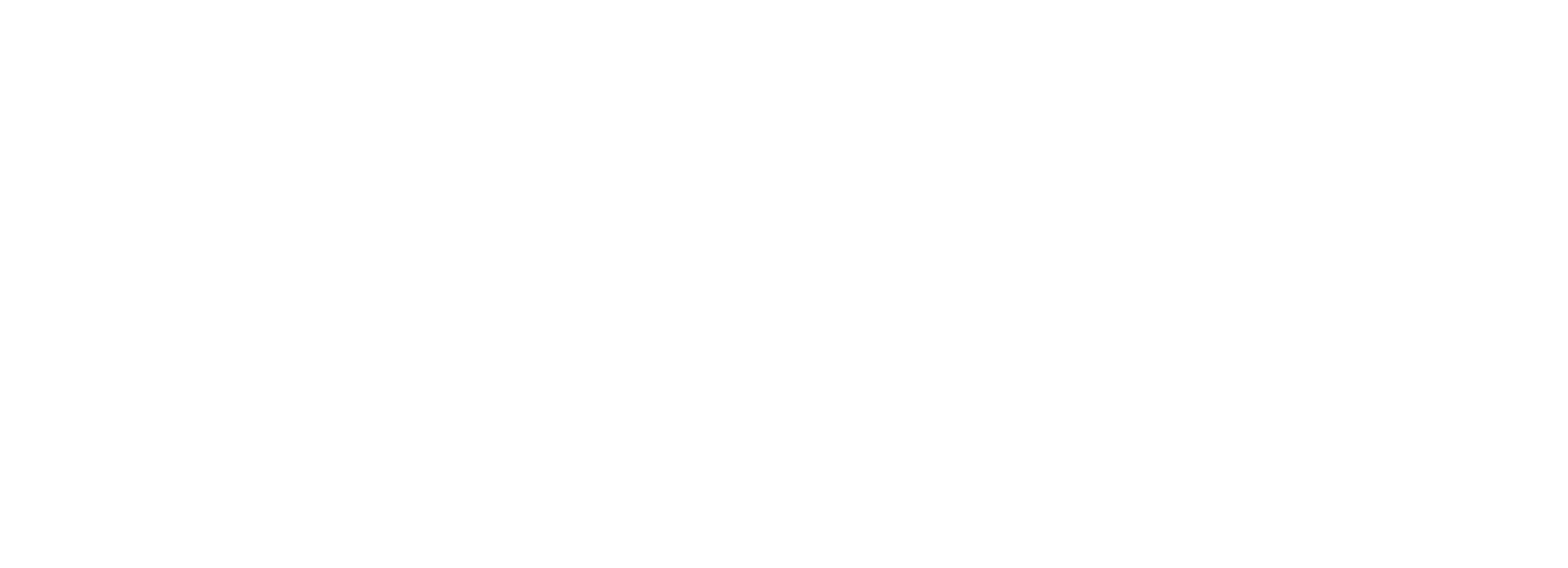 Logo Orsa